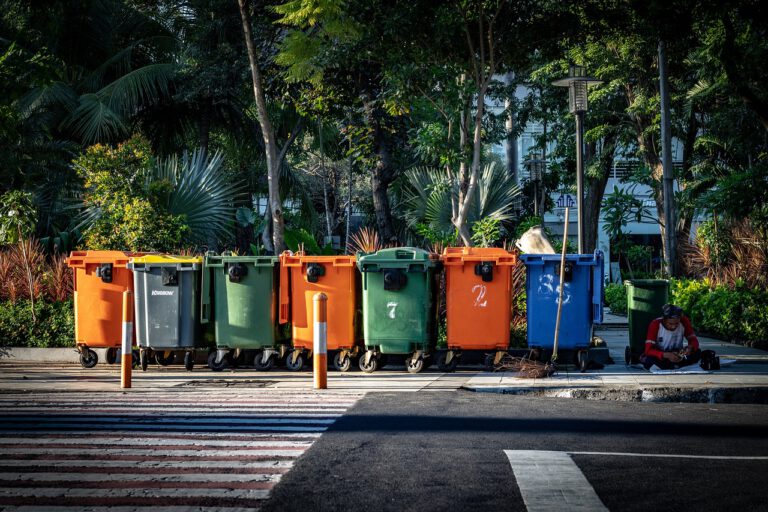 popelnice, odpad, třídění, ekologie
